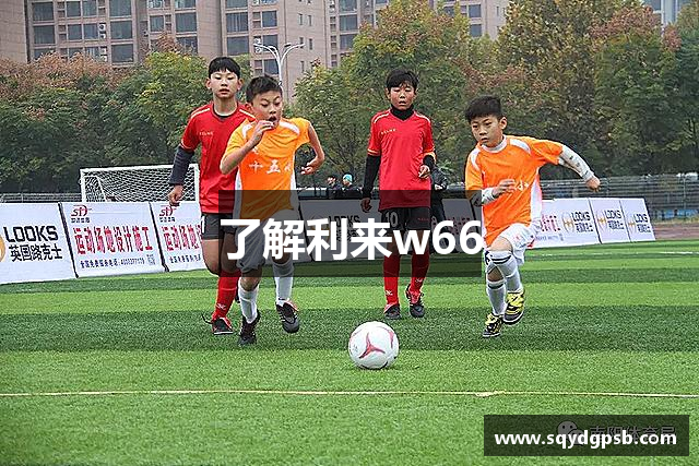 了解利来w66
